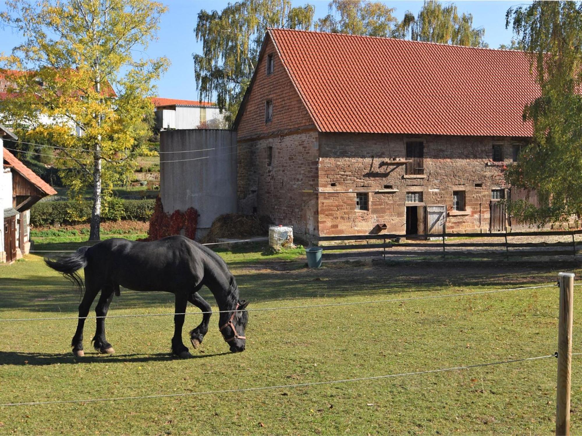 Spacious Holiday Home In Hesse With Garden Waldeck  Eksteriør bilde